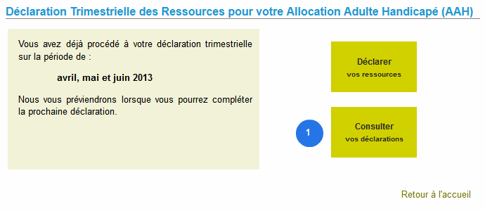 Exemple de page d'accueil sur le téléservice DTR AAH