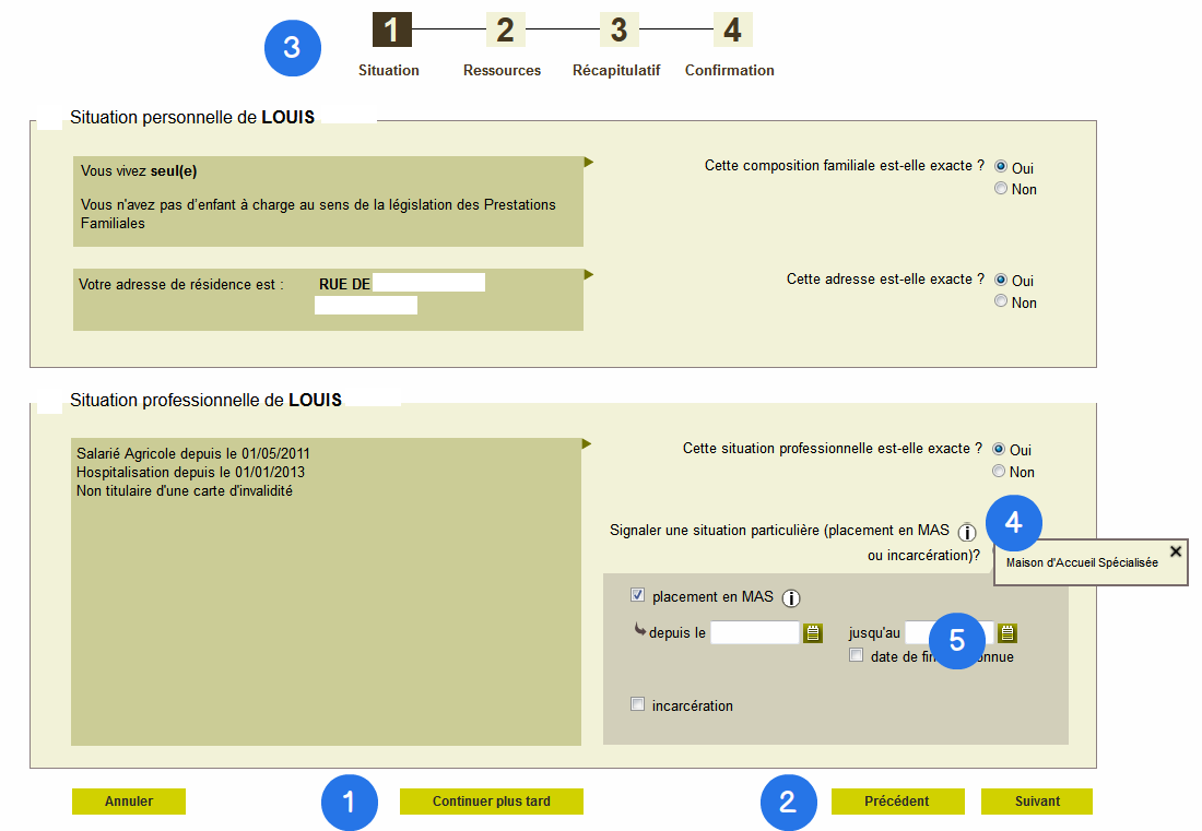 Exemple de page Situation sur le téléservice DTR AAH